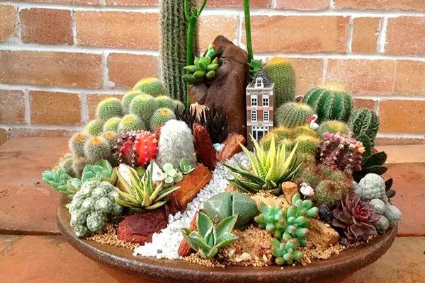 Формирование композиций из нескольких видов в одном контейнере Мини кактусы43