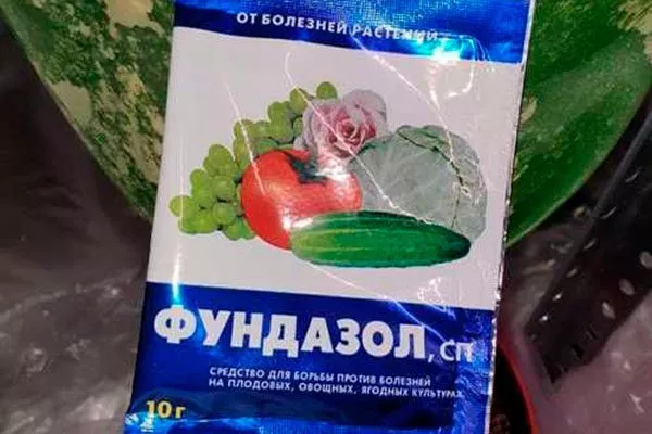 Фундазол или ХОМ пятна на листьях14