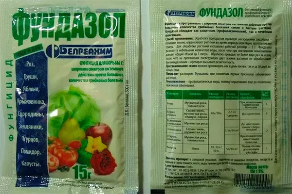 Фундазол Заболевания кактусов26