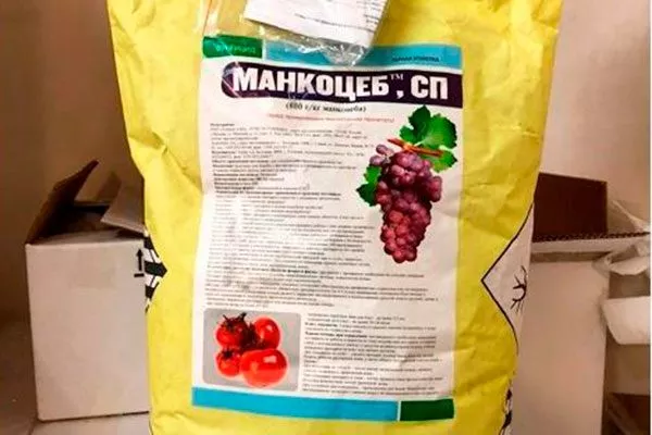фунгициды, содержащие манкоцеб пятна на листьях13