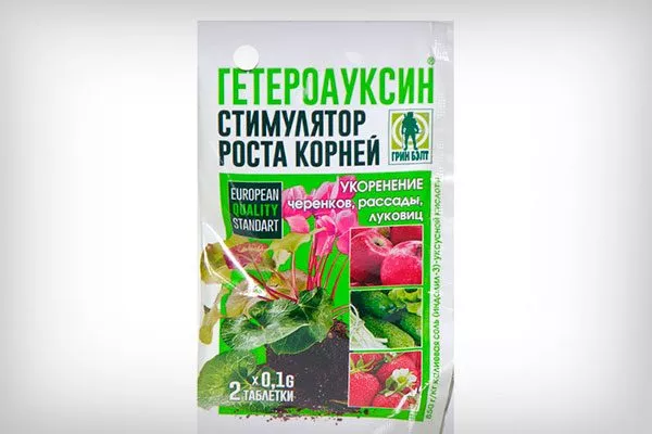 Гетероауксин Фикус бенджамина18