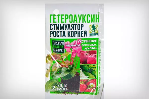 Гетероауксин Гибизкус из семян2