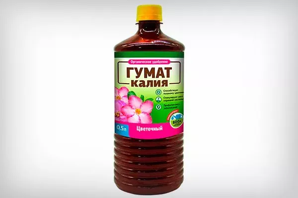 Гумат Фикус бенджамина19