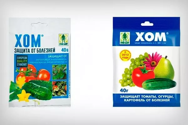 Хом Заболевания кактусов29