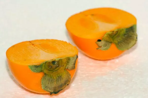 Honey Jar (Хани Джар) комнатная хурма4