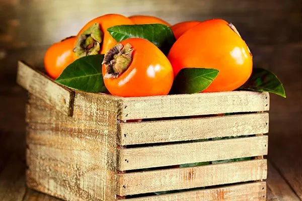 Хранение комнатная хурма25