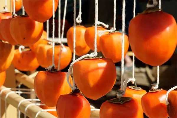 Хранение1 комнатная хурма26