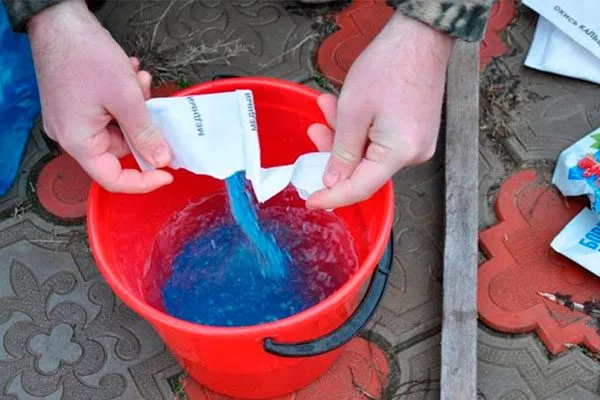 Приготовление раствора медного обработка яблонь1