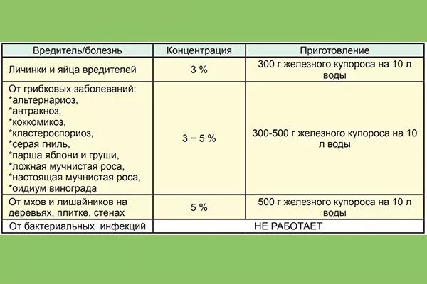 железный купорос применение обработка яблонь3
