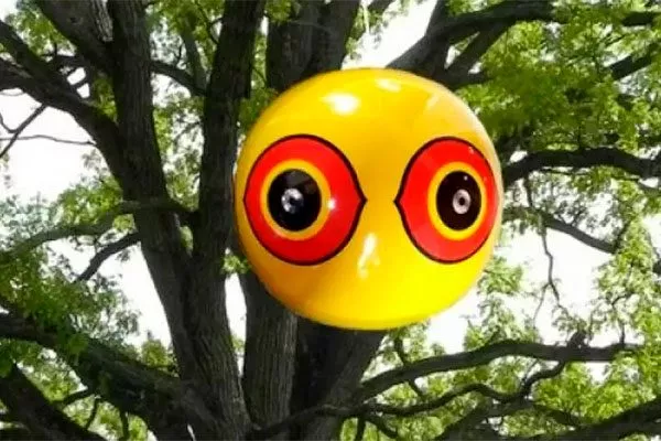 Имитация глаз хищника