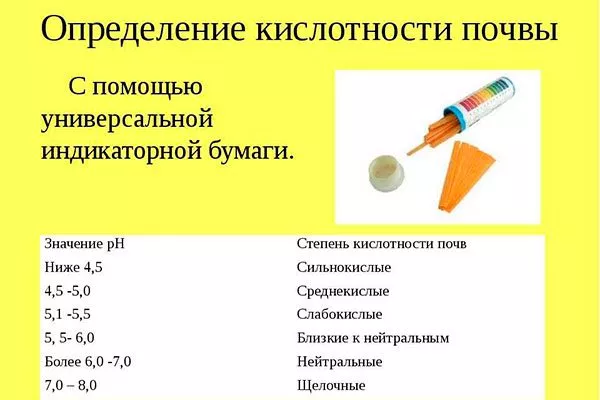Использование лакмусовой бумаги почва для земляники11