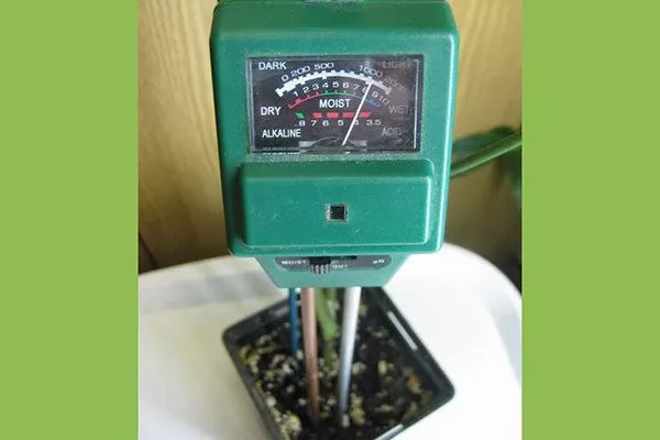 Использование влагомера способы полива герани7