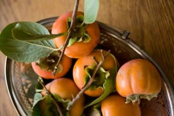 Izu Persimmon (Изу персиммон) комнатная хурма5