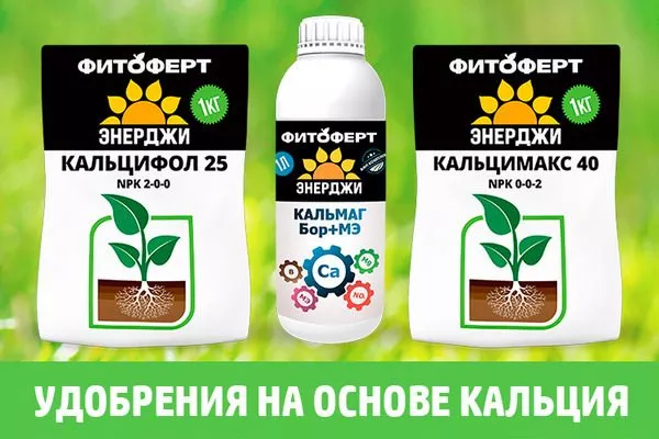 препараты с кальцием