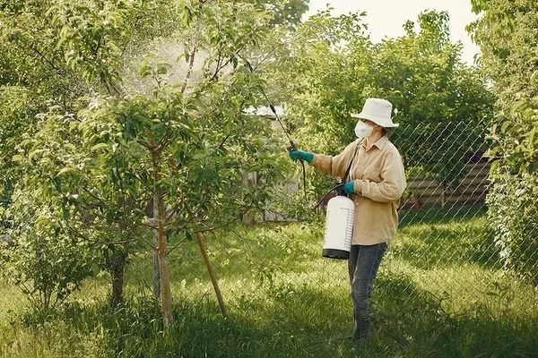 обработка яблонь в спецодежде и респираторе