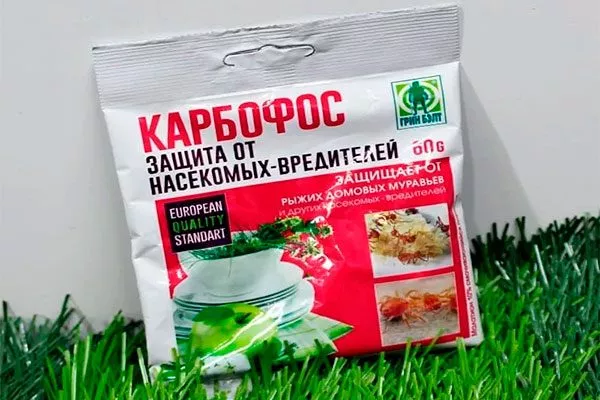 Карбофос Зимовка яблони9