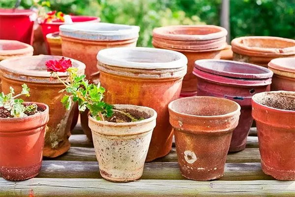 Керамические горшки Типы горшков и контейнеров9