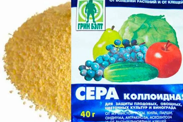 коллоидная сера почва для земляники12