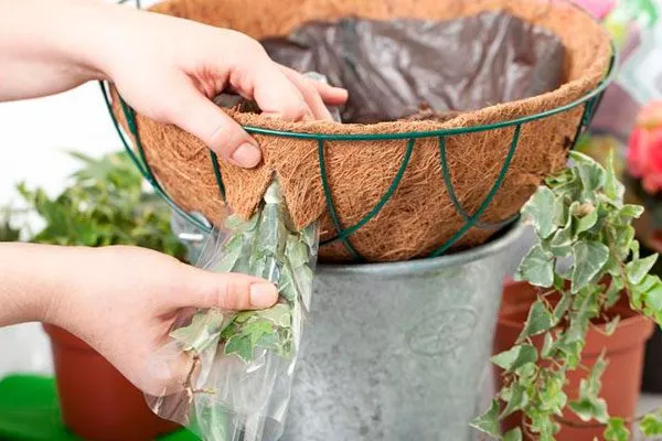 Комбинированные материалы Типы горшков и контейнеров10