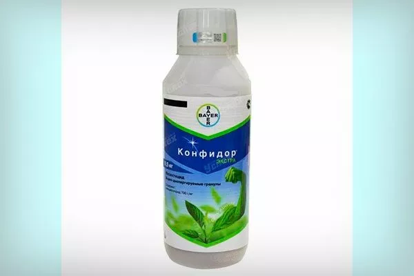 Конфидор Вариеготные фикусы15