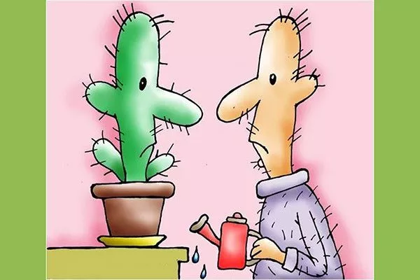 Контролирует эмоции Мифы о кактусах11