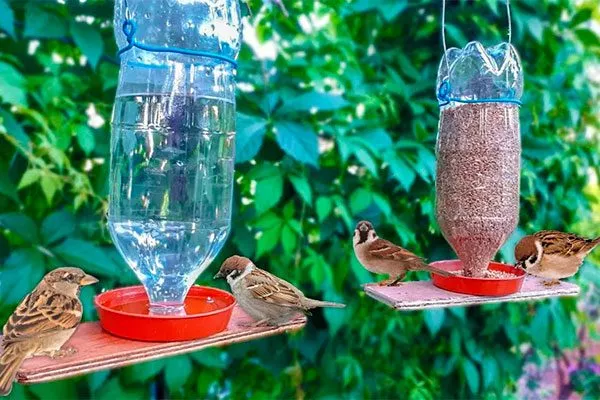 Кормушки и поилки1