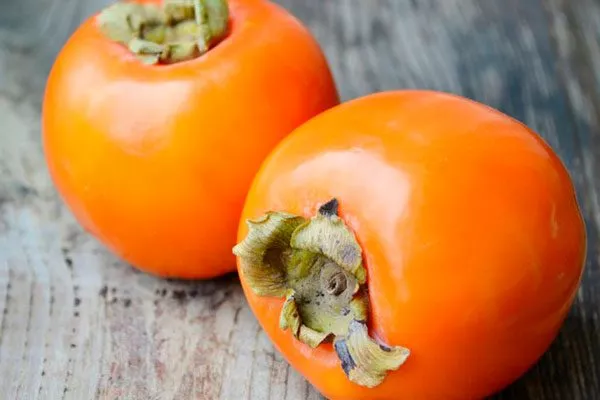 Королёк медовый Ошибки выращивания6