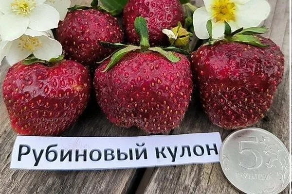 Рубиновый кулон