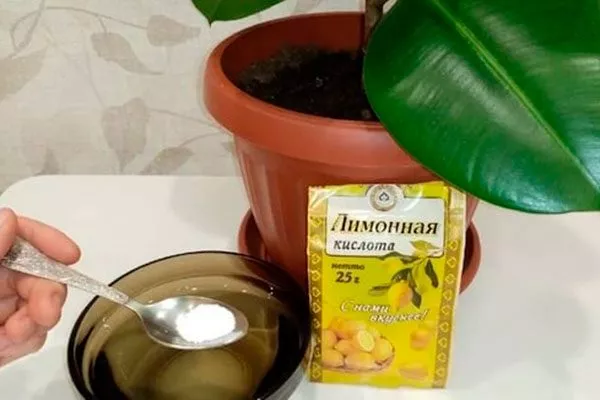Лимонная кислота Очистка пыли8