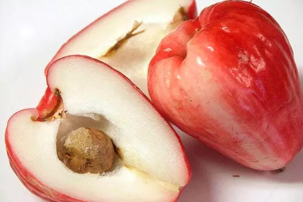 Малайские яблоки сорта яблок с необычной формой18