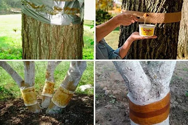 Механические ловушки