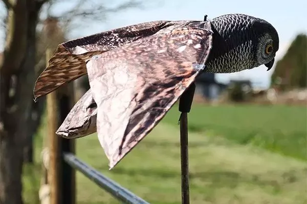 Муляжи хищников