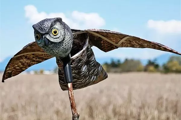 Муляжи хищников2