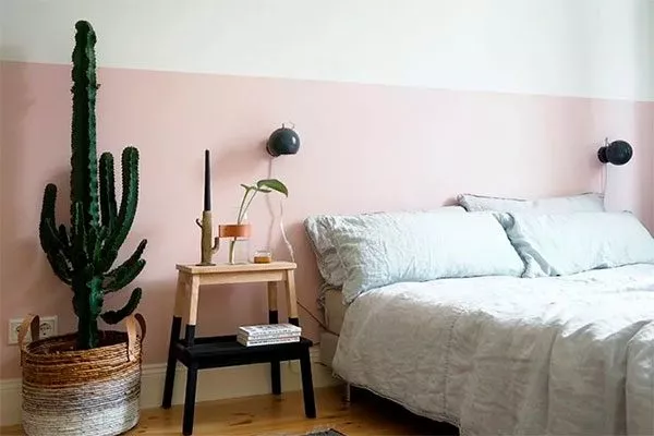наличие кактуса в спальне незамужней девушки служит защитой от ранних браков Мифы о кактусах13