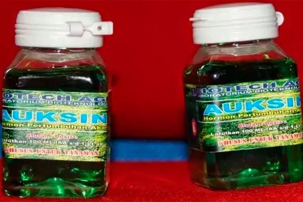 Натуральный ауксин βиндолилмасляная кислота (ИБМК)