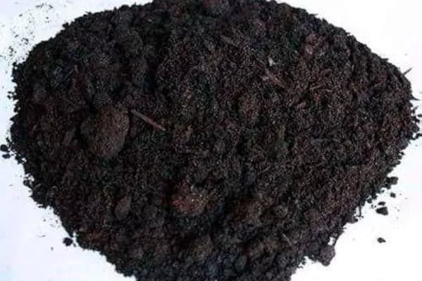 низинный торф укрыть пионы перед зимовкой19