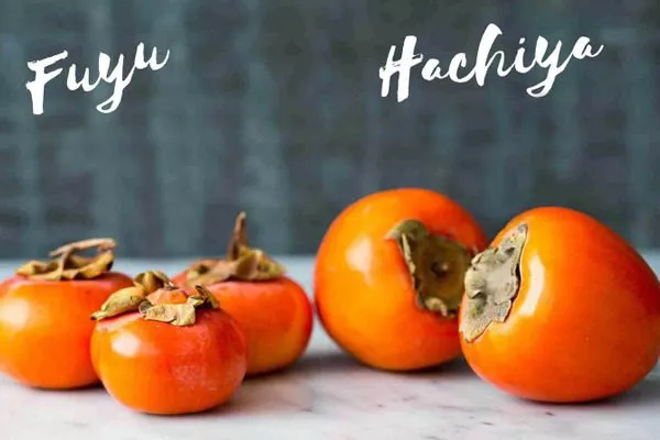 хурма Хачия и Фуйю