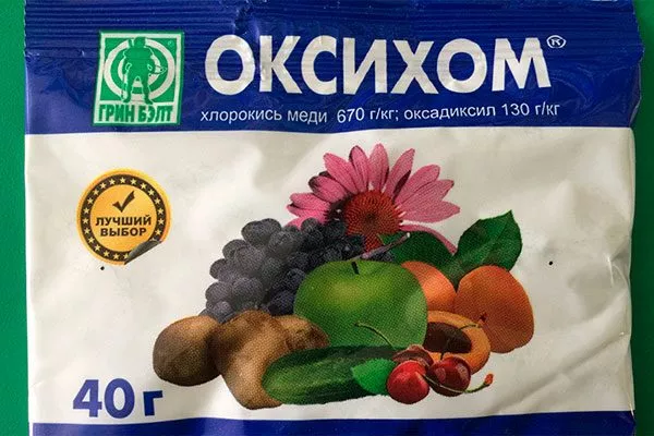 ОксиХОМ укрыть пионы перед зимовкой26