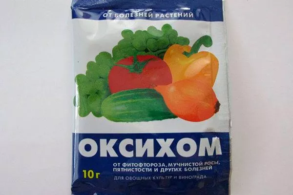 Оксихом Заболевания кактусов11