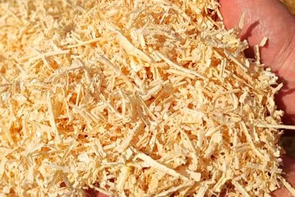 Опилки лиственных пород Зимовка яблони15