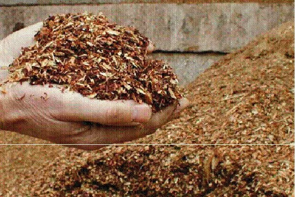 опилки укрыть пионы перед зимовкой27