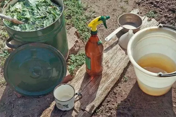 Опрыскивания органическое садоводство11