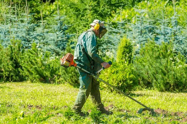 Опушки органическое садоводство12