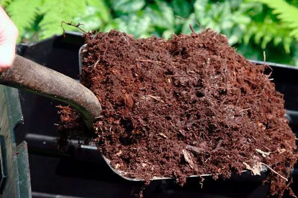 органика (торф, компост, хвойная подстилка) почва для земляники18