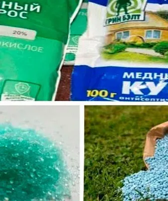 Основные отличия2 обработка яблонь14