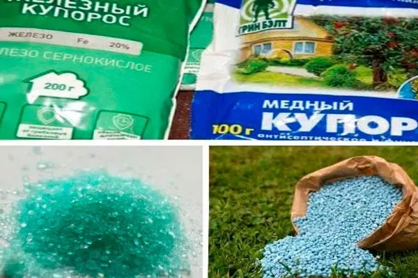 Основные отличия2 обработка яблонь14