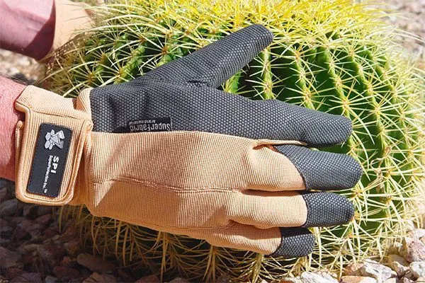 Перчатки Как правильно обрезать кактусы19