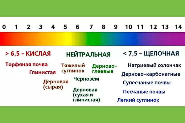 pH почвы почва для земляники2