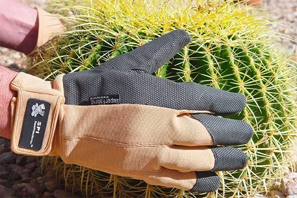 плотные перчатки Мини кактусы37