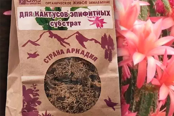 Почва Эпифитные кактусы14